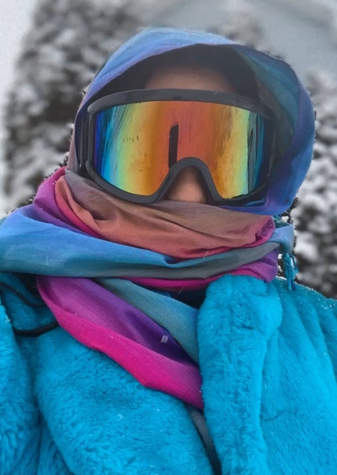 Ski Resort