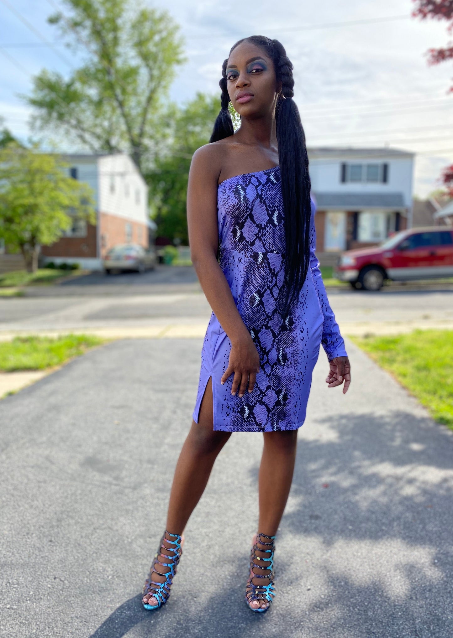 I Don’t Bite Snake Skin Dress